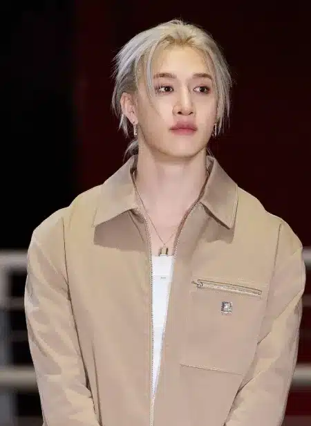Bang Chan Wife, Real Name, Net Worth, Career, Lifestyle & Complete Biography (2026)