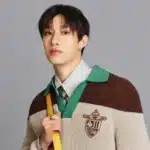 Bang Chan Wife, Real Name, Net Worth, Career, Lifestyle & Complete Biography (2026)