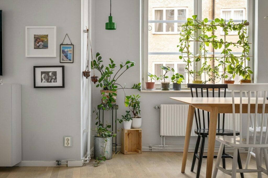 Small Home Adjustments That Can Improve Everyday Quality of Life