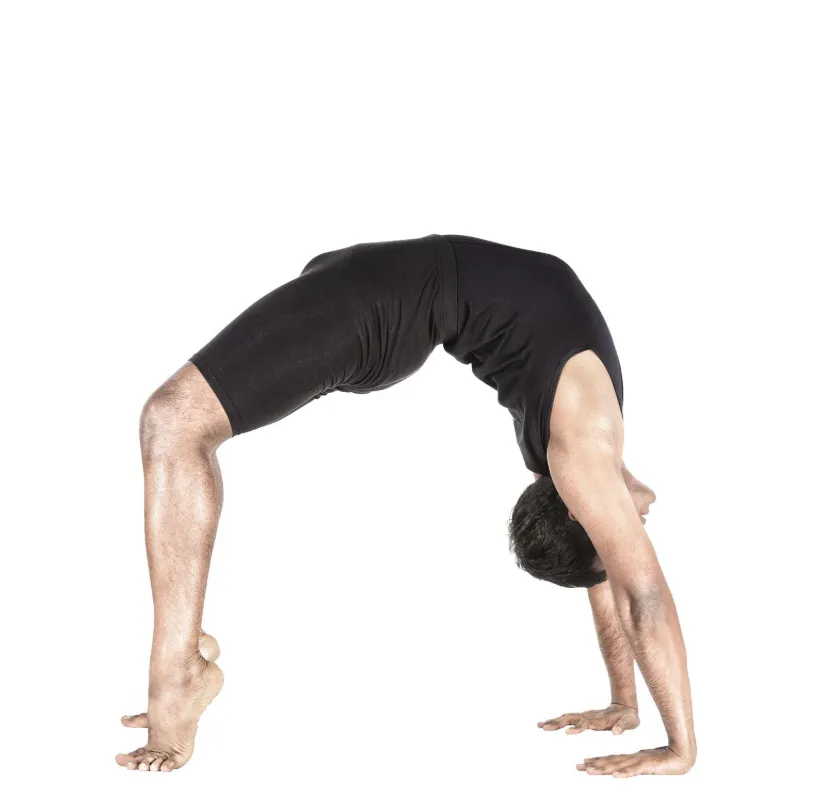 Top 6 Health Benefits of Chakrasana (Wheel Pose) & How to Do It Safely