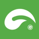 StreamOZ Review Fast and Affordable Growth or Not