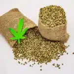 The Ultimate Guide to Cannabis Concentrates