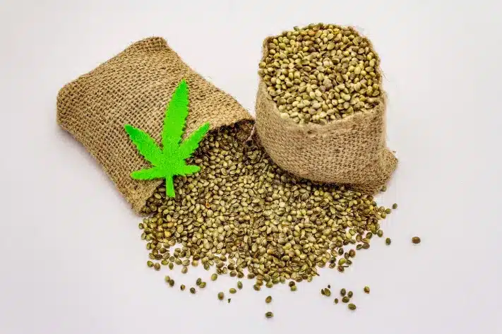 The Ultimate Guide to Cannabis Concentrates